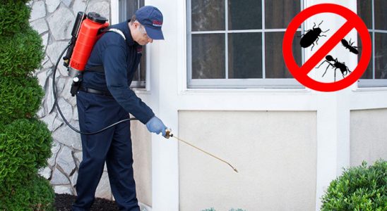 Süloğlu Kene İlaçlama böcek ilaçlama ve haşere kontrolü — ilaclama-tr.com